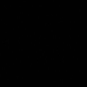 Meet your Posher, Kiara